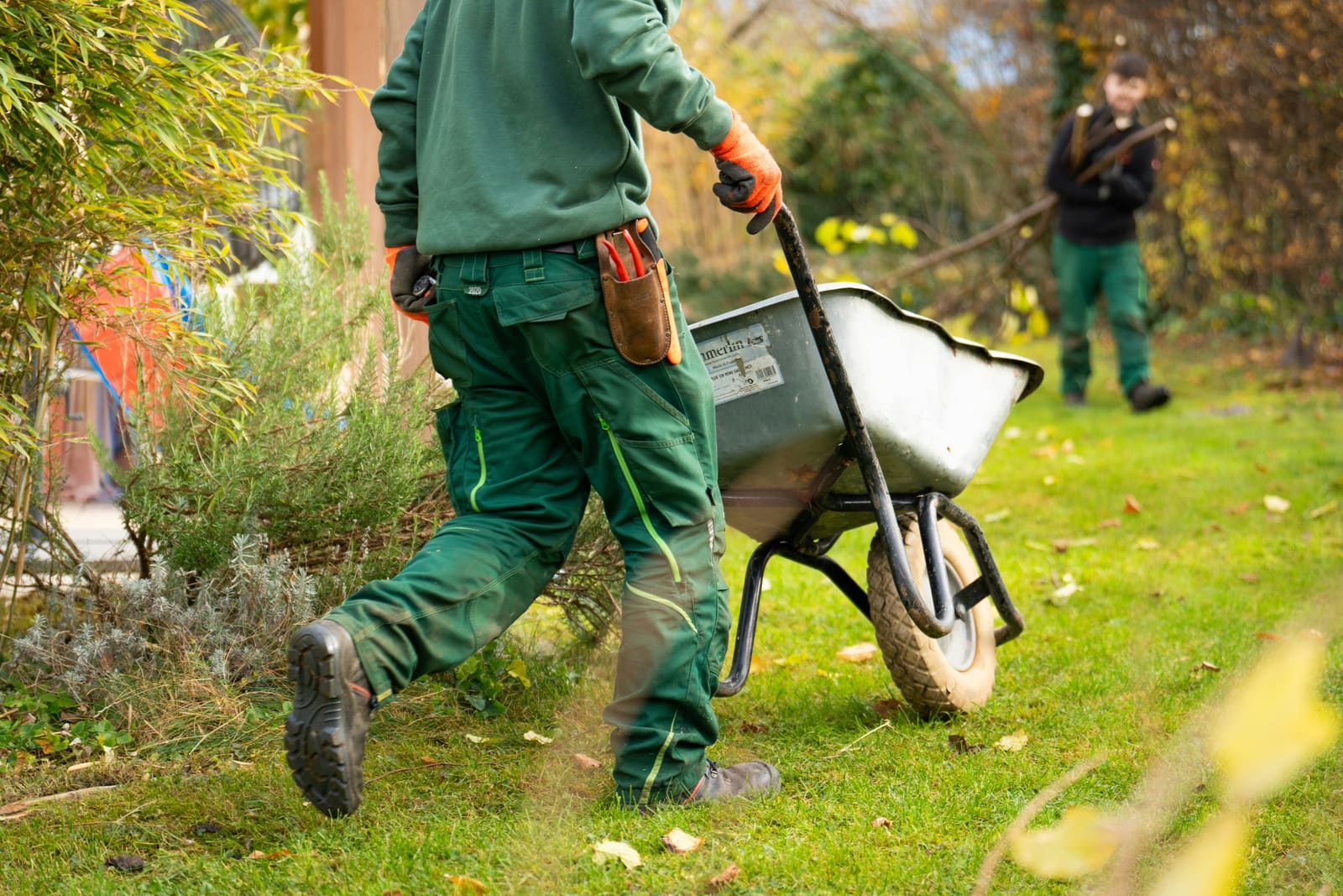 A gardener pushing a wheelbarrow across a lawn